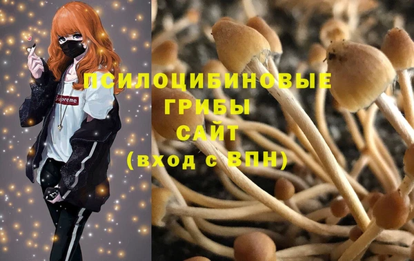дмт Алексеевка