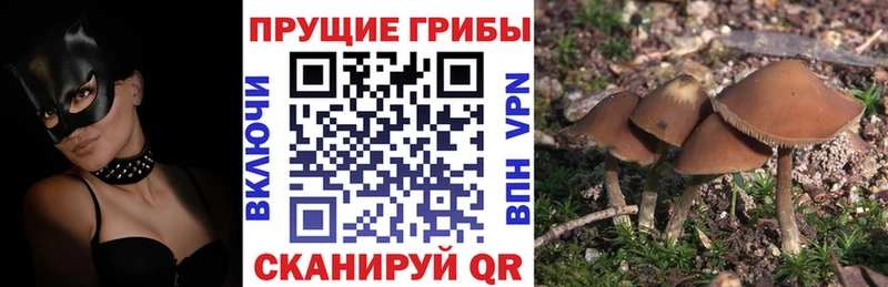 Псилоцибиновые грибы GOLDEN TEACHER Артёмовск