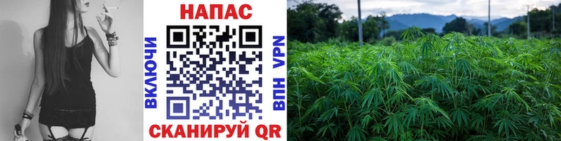 МАРИХУАНА SATIVA & INDICA как найти закладки Артёмовск